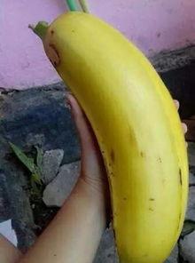 大香蕉國產91,揭秘國產影視的崛起之路