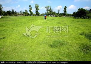 青青青草國產免費觀看,國產免費觀看，綠色生態影視盛宴